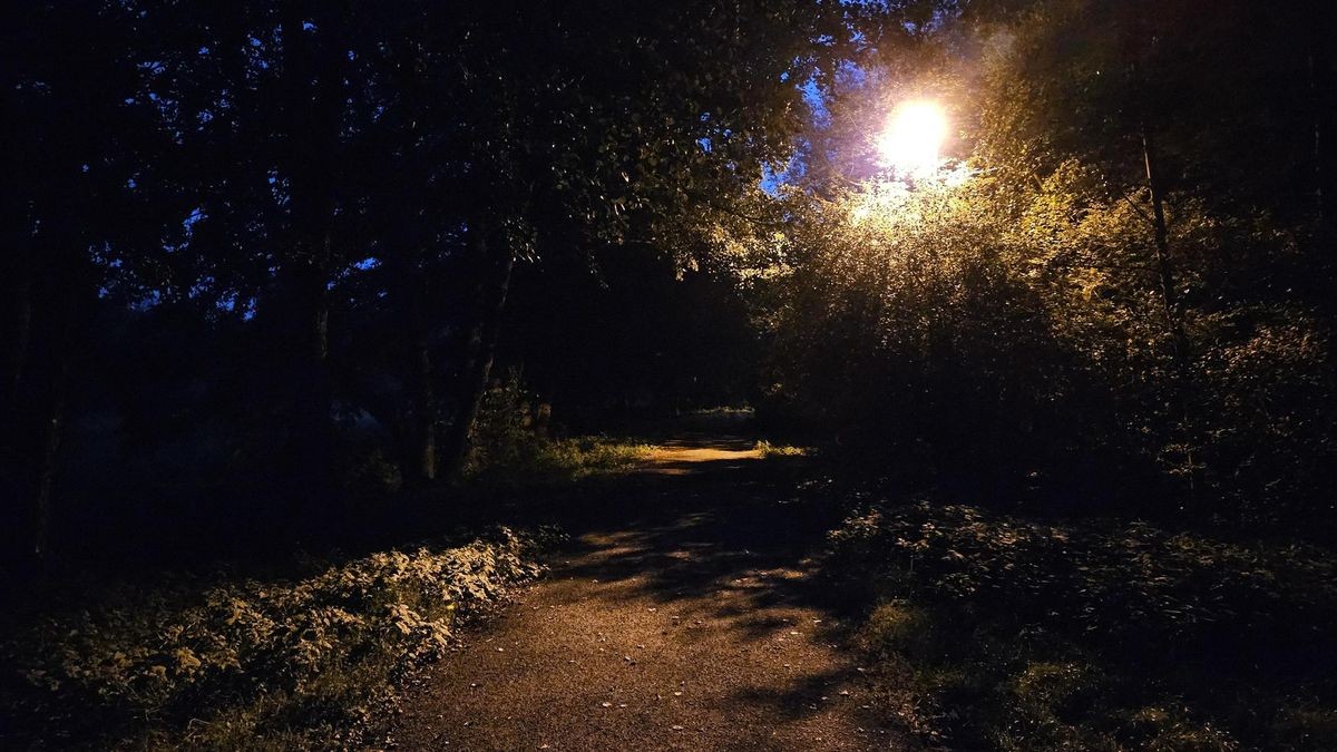 So sieht der Grillenweg zwischen Erpe und Stillerzeile durch das Landschaftsschutzgebiet Erpetal aus, wenn die Beleuchtung funktioniert. Momentan gibt es hier gar kein Licht.